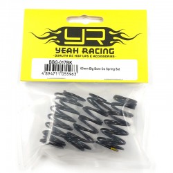 65mm Big Bore Go Spring Set