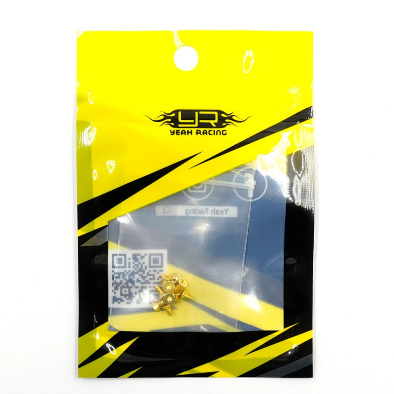 Stainless Steel Gold Coated Hex Socket Flat Head Machine Screw (M2x4mm) 10pcs