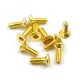 Stainless Steel Gold Coated Hex Socket Flat Head Machine Screw (M2x6mm) 10pcs